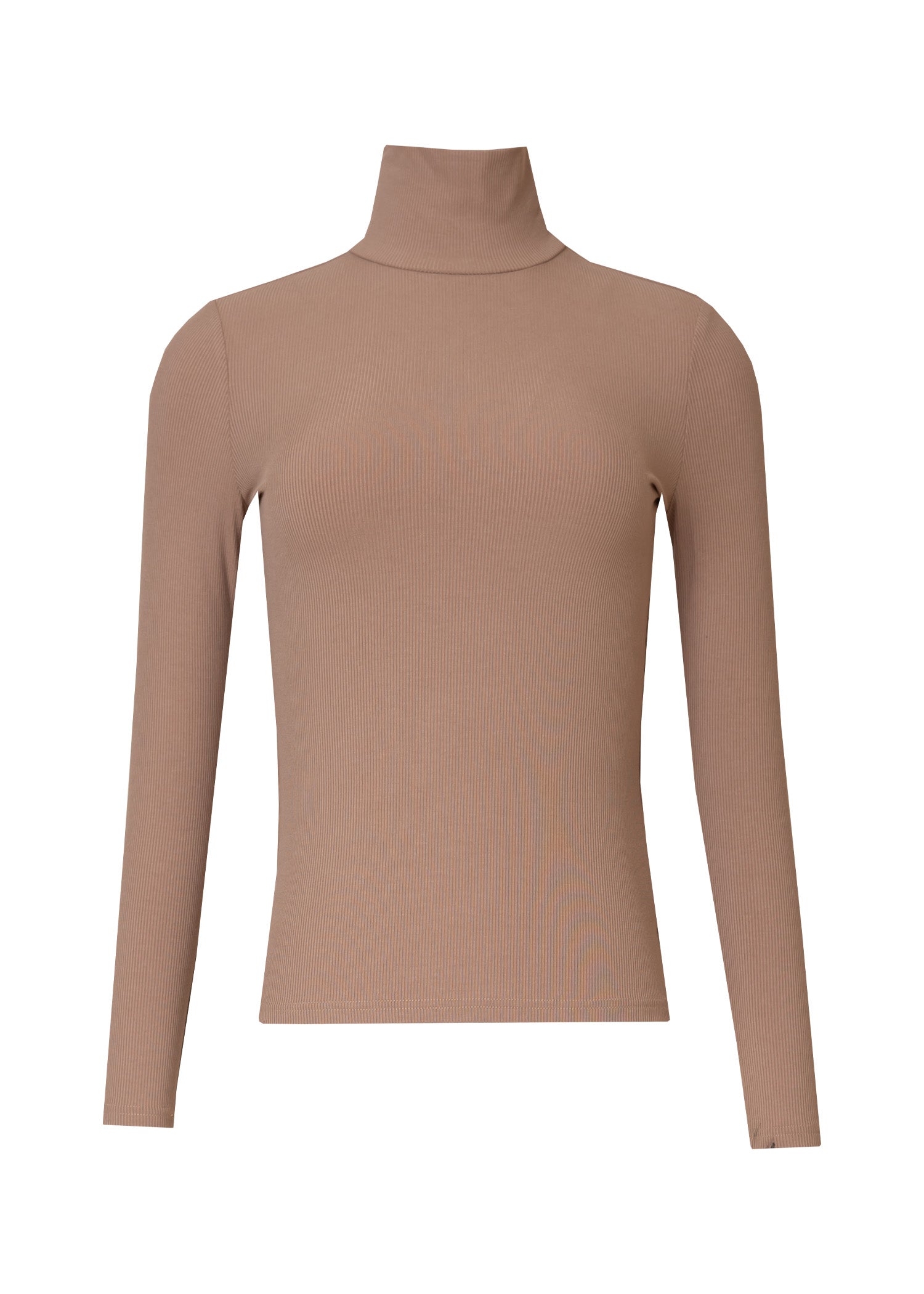 Light Brown Ribbed Turtleneck Top